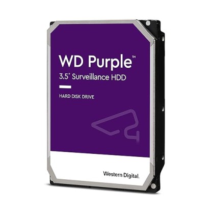 Western Digital WD Purple 1TB Surveillance Hard Drive (WD10PURZ)
